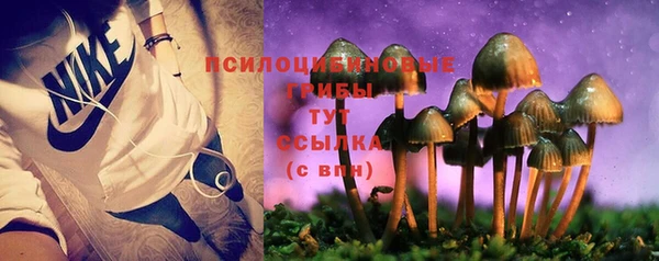 герыч Вязьма