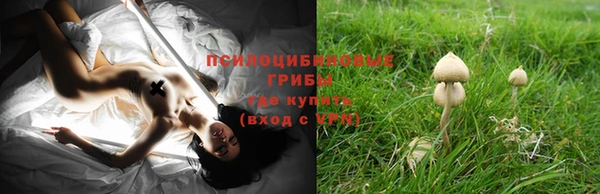 jwh Вяземский