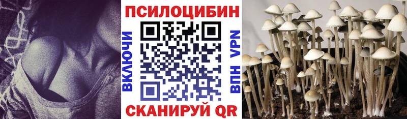 Галлюциногенные грибы Psilocybine cubensis  сайты даркнета формула  Рузаевка 